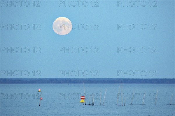 Moon over calm water with buoys, nocturnal atmosphere, Müritz, Müritz National Park,