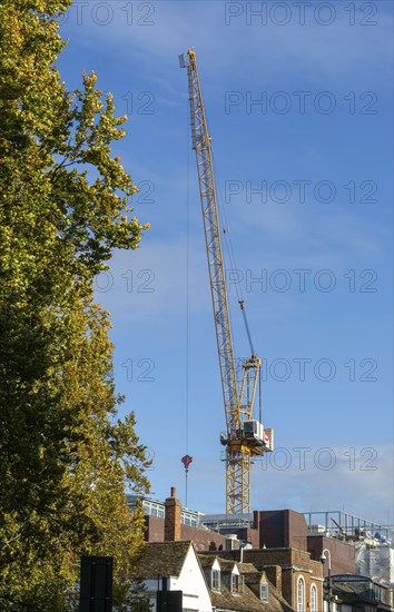 Liebherr 160 HC-L 8/16 Litronic Luffing Jib Crane tower crane, Cambridge, Cambridgeshire, England,