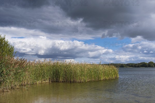 View over the Scharmützelsee, Wendisch-Rietz, Brandenburg, Germany, Europe