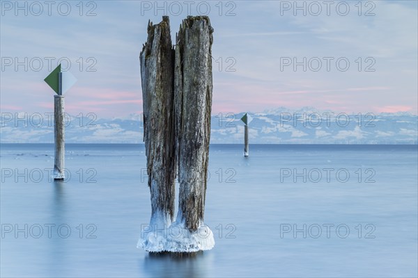 Icy wooden piles in the still, blue water under an expansive sky in winter, harbour, Immenstaad,