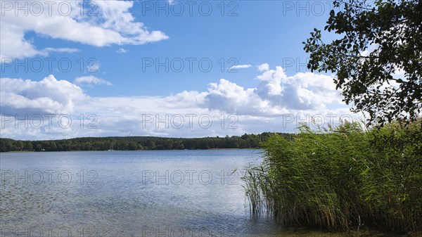 View over the Scharmützelsee, Wendisch-Rietz, Brandenburg, Germany, Europe