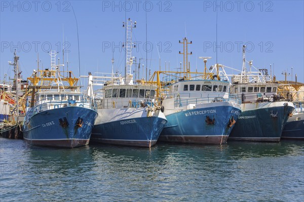 Fishing boats in the harbour, Fremantle, WA, Australia, Oceania
