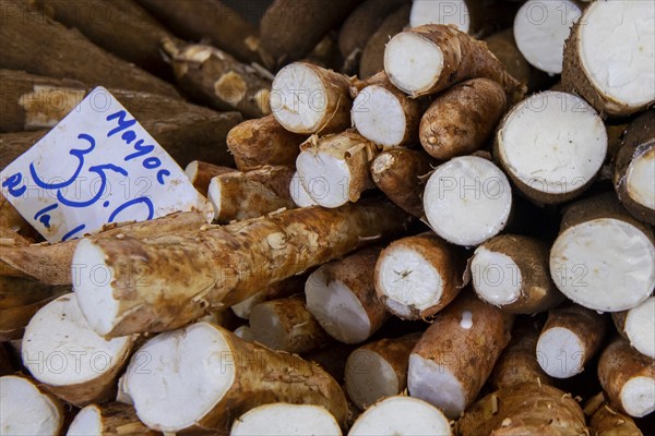 Fruit and vegetable market, market hall, manioc (Manihot esculenta), old town, Port Louis, Indian