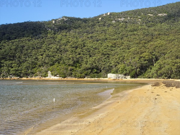 This lovely sandy beach is a great reward at the end of the Telegraph Saddle to Sealers Cove track,