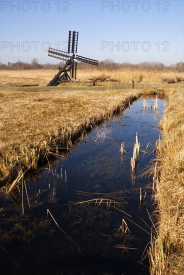 Paaltjasker windmill in a harvest reedfield in nature reserve and national park Weerribben-Wieden