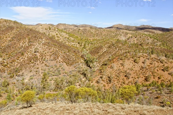 View from the Bunyeroo Valley Lookout of Wilpena Pound, Flinders Ranges, SA, Australia, Oceania