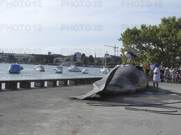 Switzerland: A stranded whale lies on the shore of Lake Zurich. A campaign by the IWA