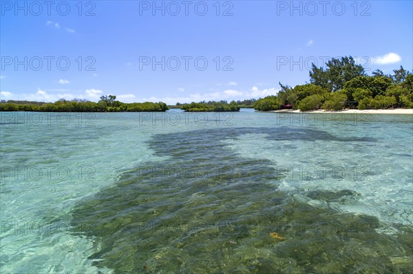 Ile aux Cerfs, Beau Champ, East Coast, Indian Ocean, Island, Mauritius, Africa