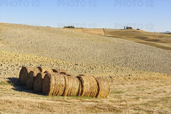 Drying haystacks on a barren autumn field in Crete Senesi, Tuscany, Italy, Europe