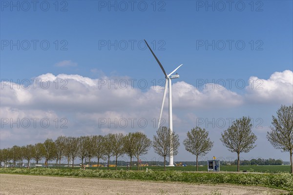 Lelystad, Netherlands, May 07, 2022: Windmill, row of trees polder and road