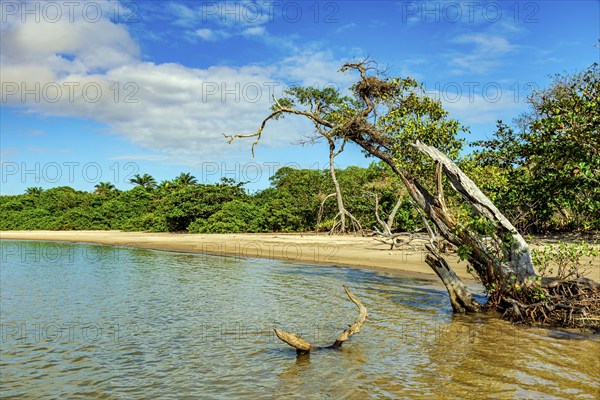 Deserted and wild beach in Serra Grande on the south coast of the state of Bahia