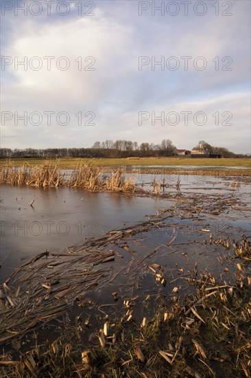 The former Schokland Island in the Dutch Noordoostpolder has been placed on the UNESCO World