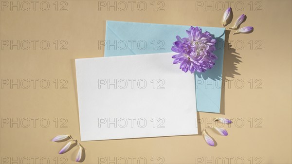 Composition with empty paper note and envelope beautiful spring blue flowers on beige background.