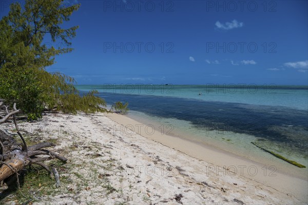Beach, Beach, Ile aux Benitiers, Le Morne Brabant, West coast, Indian Ocean, Island, Mauritius,