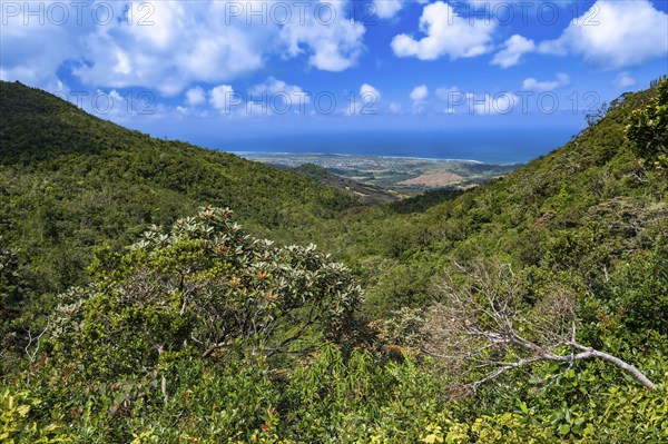 View, Black River Gorges National Park, Biosphere Reserve, Bel Ombre, Indian Ocean, Island,