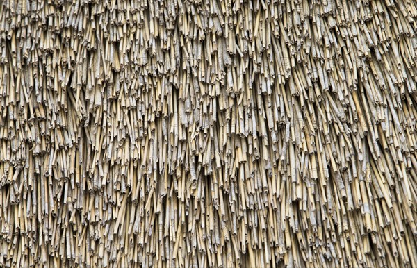Image shows a detailed view of a thatch roof