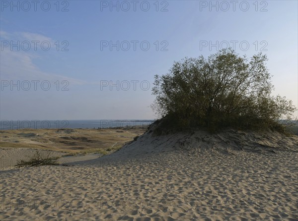 The Parnidis Dune in the Curonian Spit National Park is one of the largest shifting sand dunes in