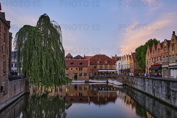Bruges Rozenhoedkaai old houses along canal with tree in the evening. Famous place of Brugge,