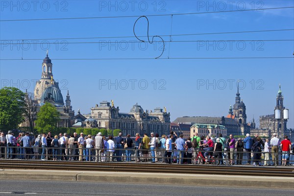 Steamboat parade on the Elbe