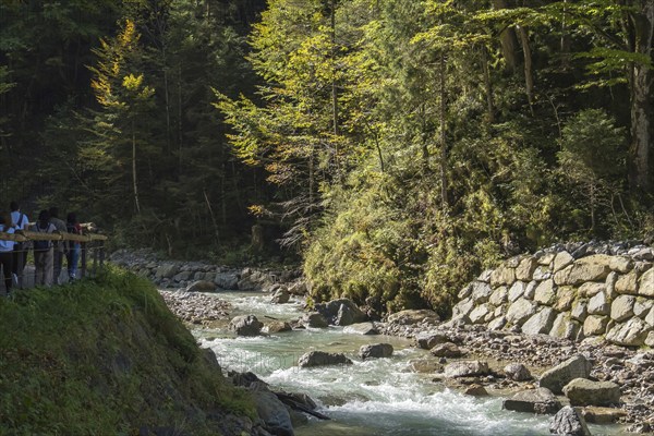 Mountain river Partnach, near the entrance to the Partnach Gorge, Wetterstein Mountains,