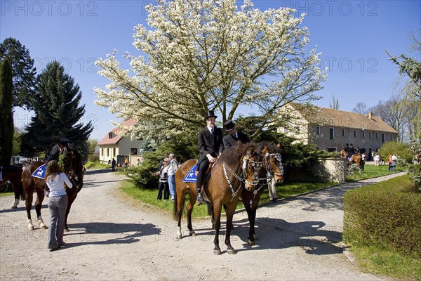 Every year at Easter there are about 5 processions in Lusatia, each with about 200 riders. The