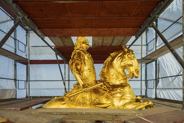 Golden Rider close-up