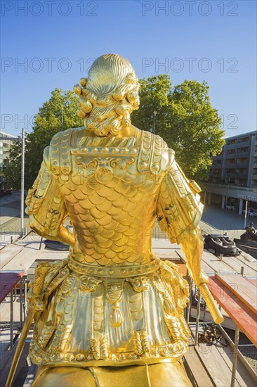 Golden Rider