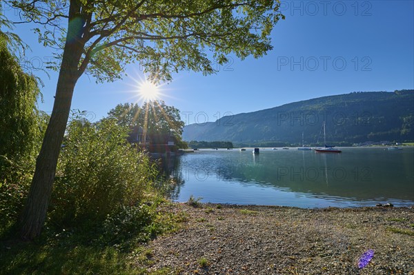 Lakeside, Tree, Sun, Morning, Summer, Steindorf am Lake Ossiach, Lake Ossiach, Carinthia, Austria,