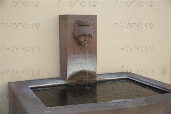 Pompei Fountain at the Castle, Fountain, Pompei, Bad Homburg, Taunus, Hesse, Germany, Europe