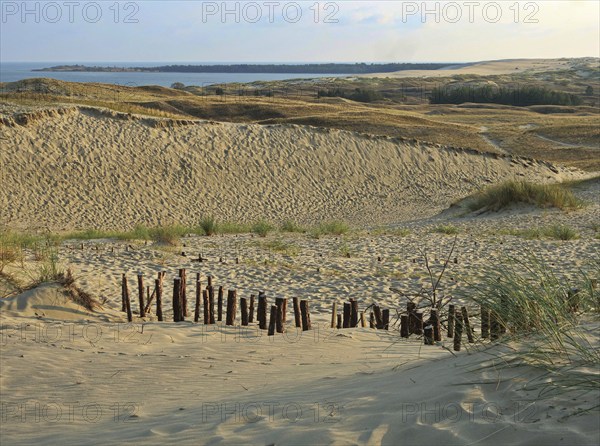 The Parnidis Dune in the Curonian Spit National Park is one of the largest shifting sand dunes in