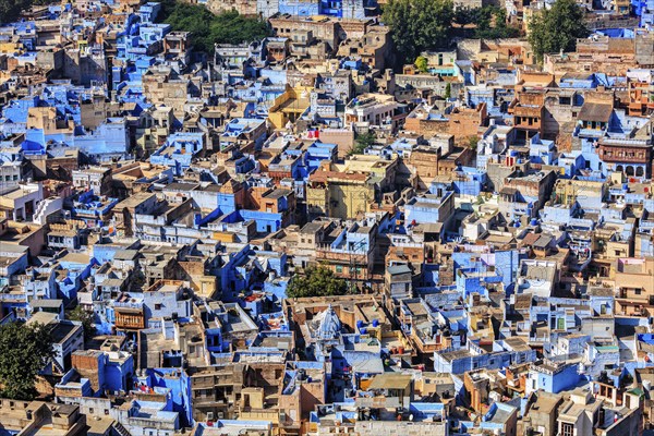 Aerial view of Jodhpur, also known as Blue City due to the vivid blue-painted Brahmin houses around