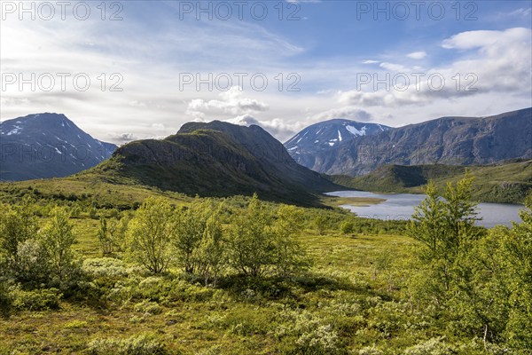 Barren mountain landscape with lake and birch trees, Knutshøe mountain and Leirungen nedre lake,