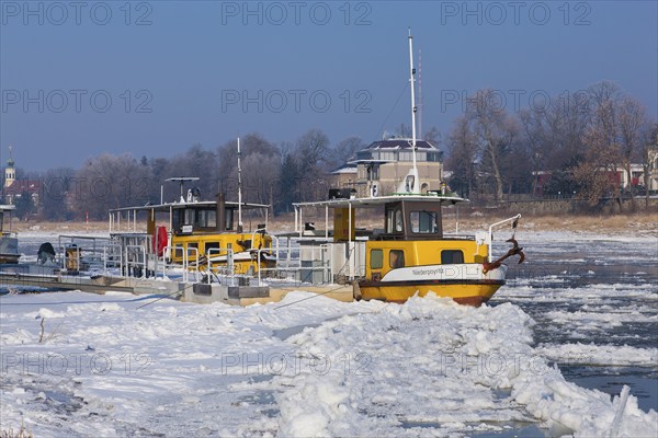Ferries on the Elbe in Dresden Pillnitz
