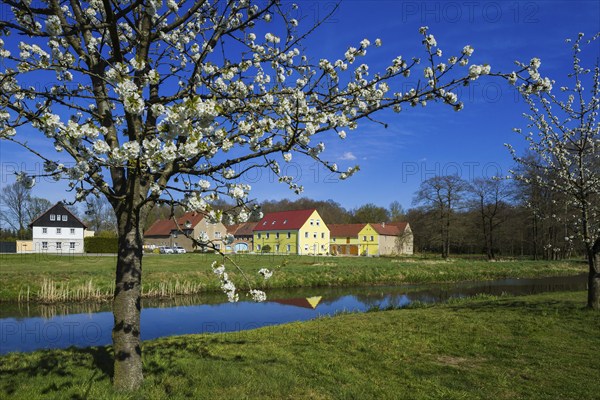 Sollschwitz is a district of the town of Wittichenau in the district of Bautzen in Saxony. The