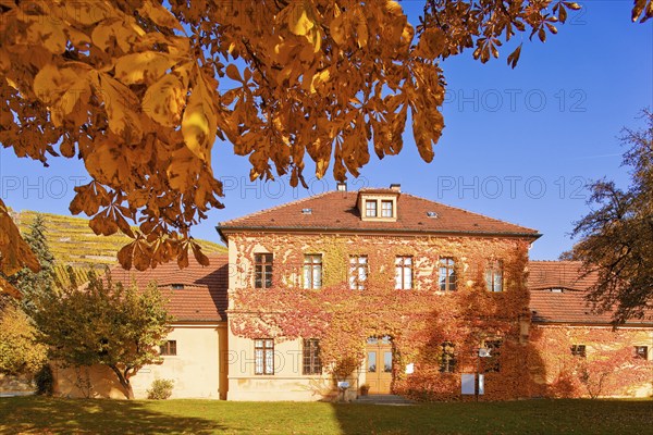 Winery Haus Hoflößnitz