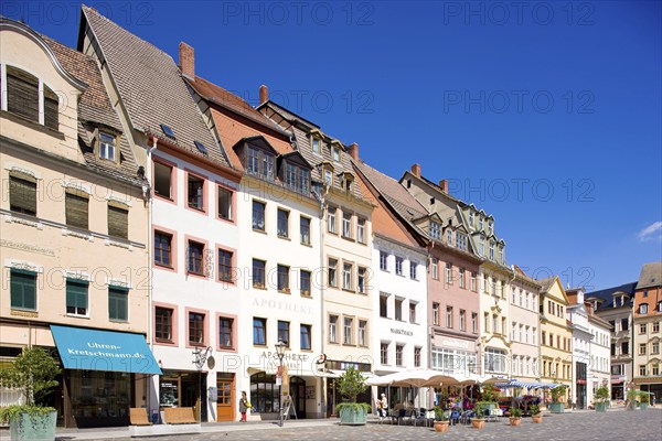 Altenburg main market with historic town houses
