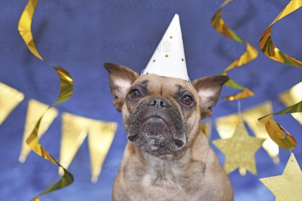 French Bulldog dog wearing New Year's Eve party celebration hat in front of blue background with