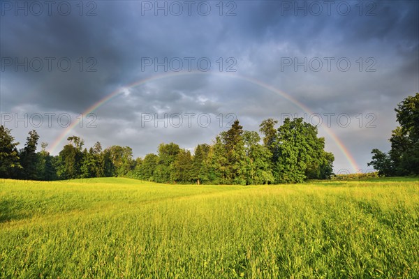 Evening thunderstorm atmosphere with double rainbow over lush green mixed forest, in the Zurich