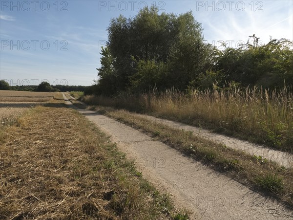 The column trail along the former inner-German border marks the green band between