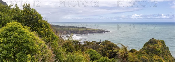 Coast of the Western South Island, between Charleston and Te Miko, New Zealand, Oceania