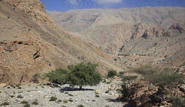 Wadi at Al-Jabal al Akhdar, Batinah Region, Oman, Asia