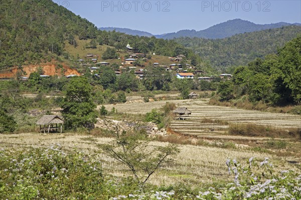 Rural village and terraced rice paddy fields in the Tachileik District, Shan State, Myanmar, Burma,