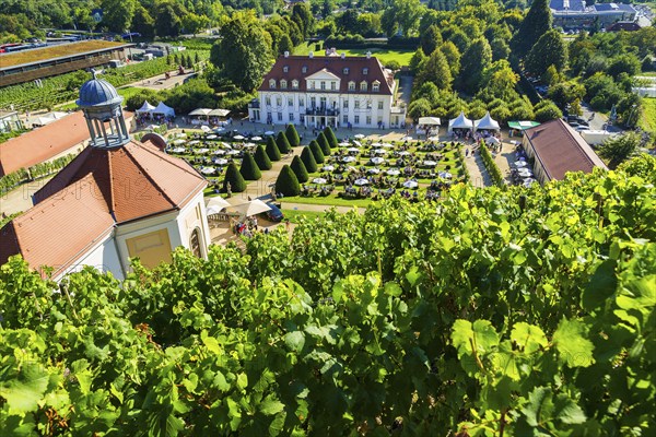 Wackerbarth Castle or Wackerbarths Ruh is a Baroque castle surrounded by vineyards in the