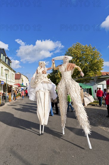 Autumn and wine festival in Altkötzschenbroda