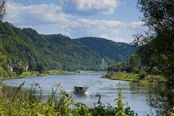 Elbe ferry in Schmilka