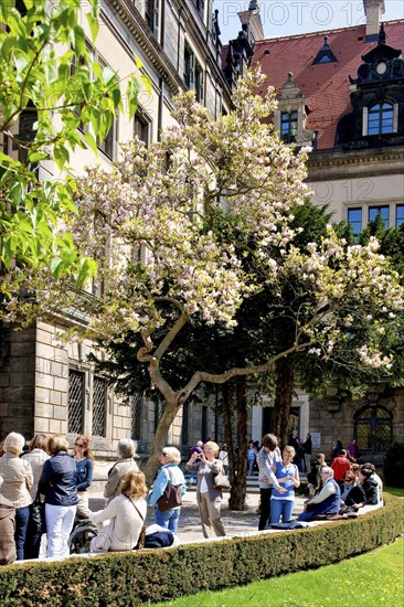 Residential Palace in spring. Large parts of the Residenzschloss in Dresden have already been