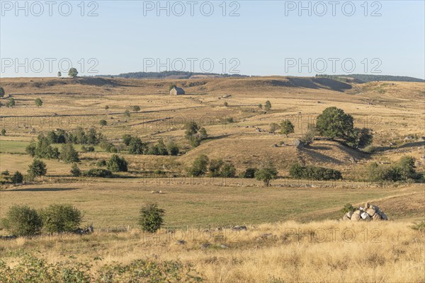Landscape in Aubrac in summer, inspiring, infinite, enchanting, magical, peaceful, bewitching.