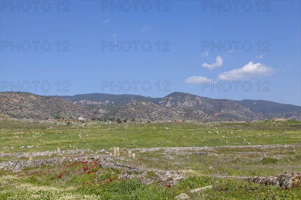 Landscape in Hierapolis, Hieropolis, near Pamukkale, Denizli, Western Turkey, Turkey, Asia