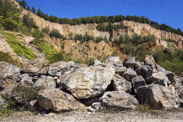 Disused Vatter porphyry quarry, Dossenheim, Baden-Württemberg, Germany, Europe