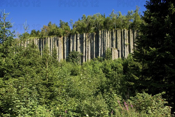 Scheibenberg basalt columns